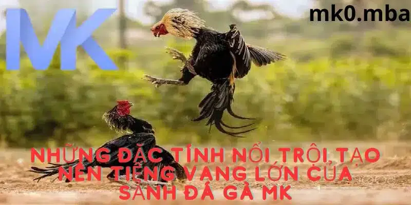 Ưu điểm nổi bật tạo nên thương hiệu